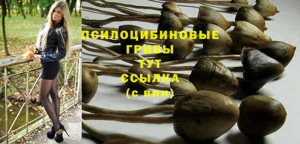 гашиш Протвино