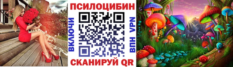 мега вход  как найти наркотики  Болгар  Псилоцибиновые грибы прущие грибы 