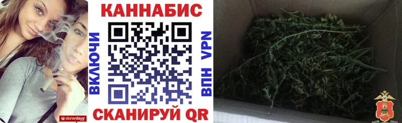 Шишки марихуана ГИДРОПОН  Болгар 